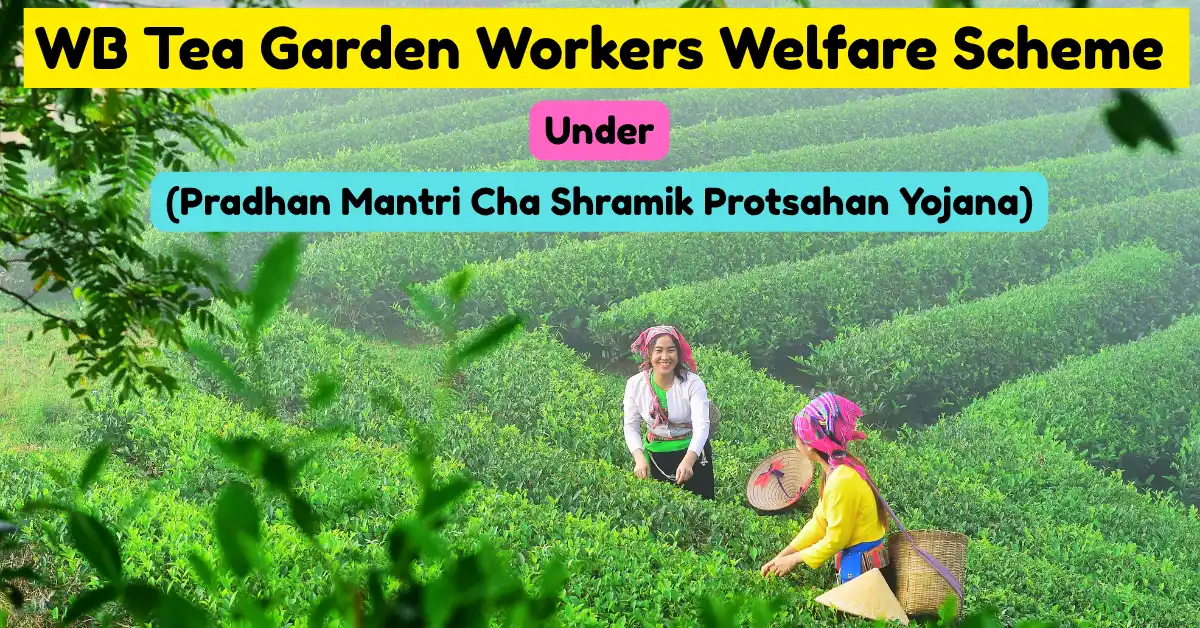West Bengal Tea Garden Workers Welfare Scheme