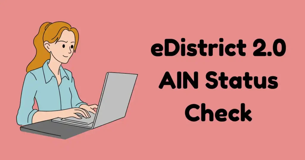 eDistrict 2.0 AIN Status Check